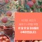 [영주진연농원] 맛있는 영주사과 2.5k 부사사과