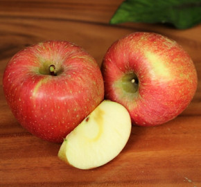 [그랑농원] 영주 햇 꿀 사과 부사 2.5kg(옵션선택)