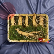 [인삼] 삼우리 6년근 풍기 수삼 500g / 6-7뿌리