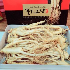 [이순남홍삼] 못난이인삼 1채 750g 5년근 (12~14뿌리, 종이상자 포장)