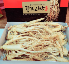 [이순남홍삼] 못난이인삼 1채 750g 5년근 (12~14뿌리, 종이상자 포장)