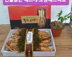 [이순남홍삼] 풍기인삼 1채 750g 5년근 (11~14뿌리, 종이상자 포장)