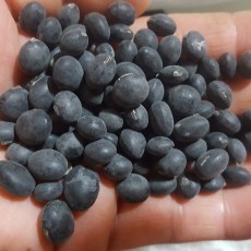 [영주장터농원] 22년직접생산한 토종서리태콩(속청) 3kg
