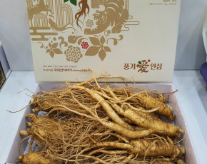 _[이순남홍삼] 못난이인삼 5년근 1채 750g (15~17뿌리, 종이상자 포장)
