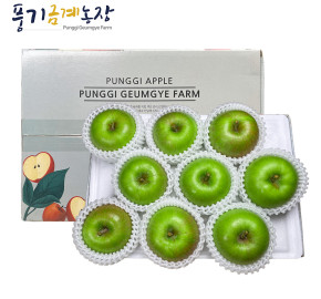 [풍기금계농장] 아오리,썸머킹 사과 2kg 7-11과