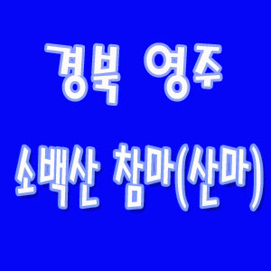[소백산영주] 소백산 참마(상)-5kg
